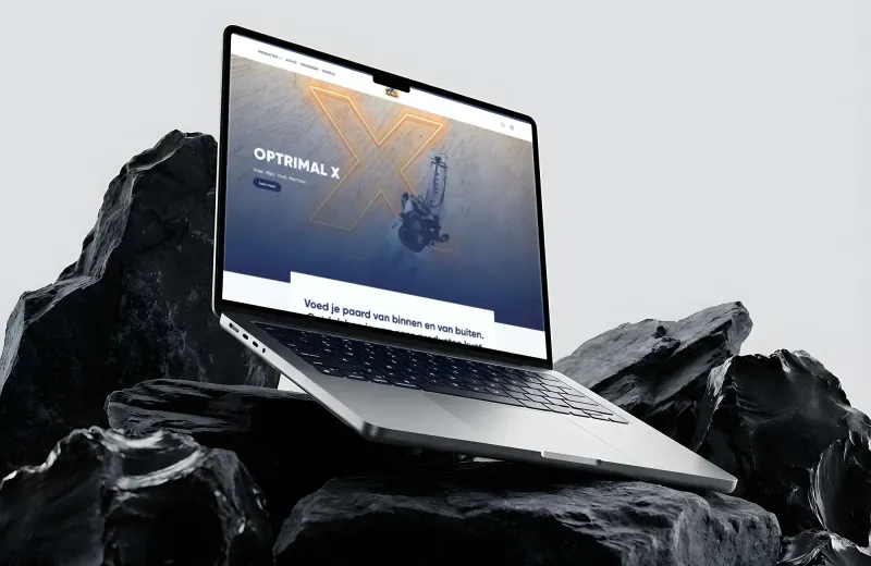 Cavalor: una plataforma para cinco idiomas