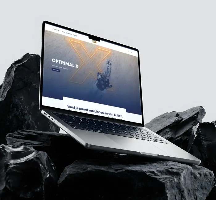 Integraciones WooCommerce con sus sistemas empresariales